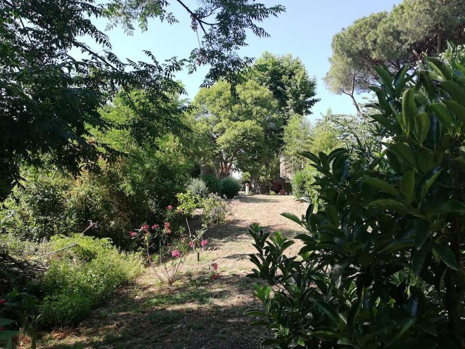Appartamento Roma, エクステリア 写真